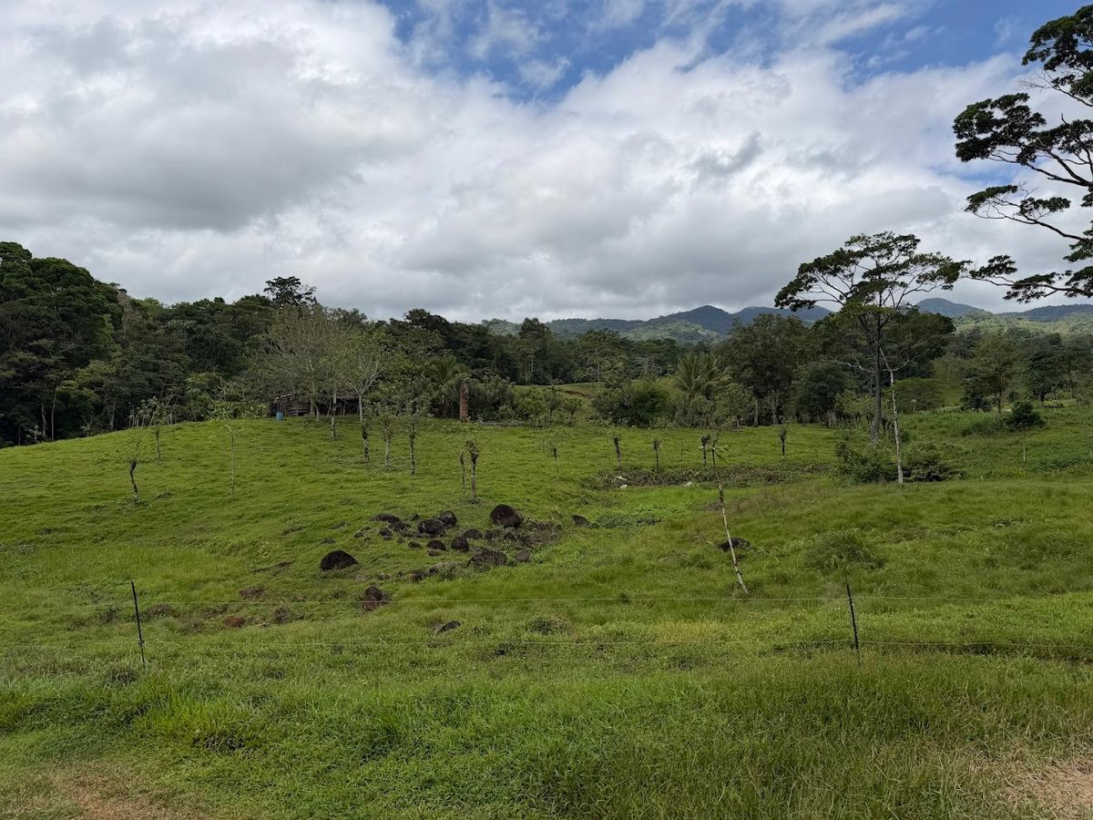 Finca Turística y Agropecuaria en San Carlos: Con Nacientes y Ríos