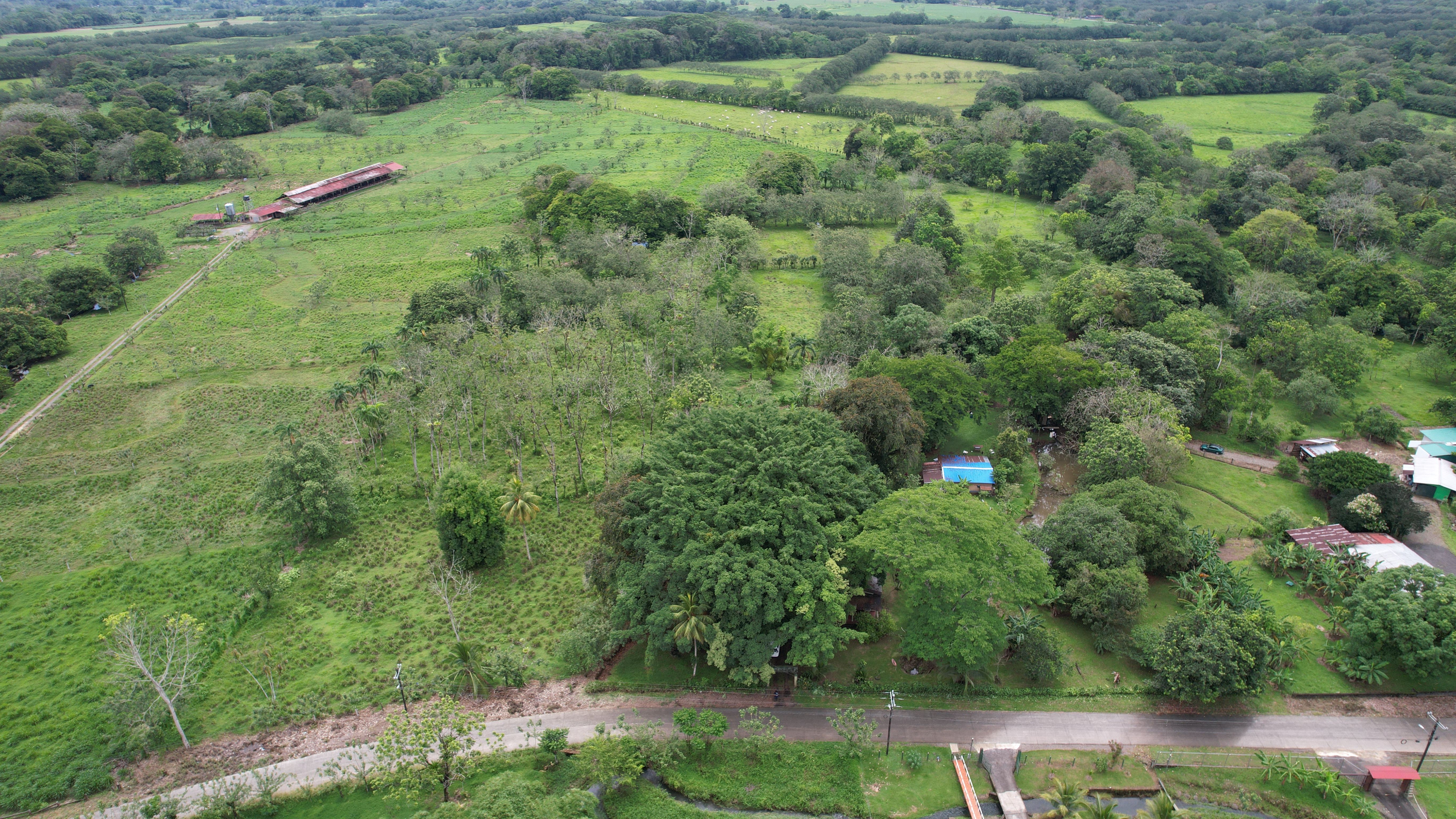 3.6-Hectare Livestock & Commercial Farm in La Vega: Main Road Frontage