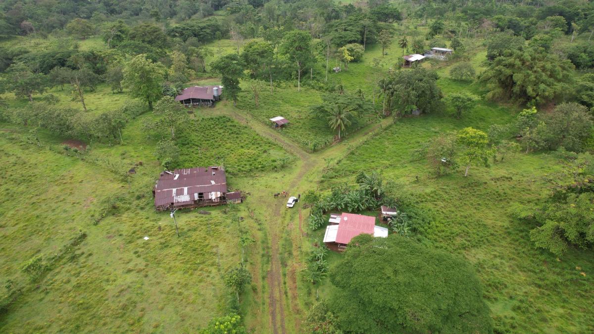 Finca Ganadera entre Upala y Bijagua: Dividida por Vía Nacional