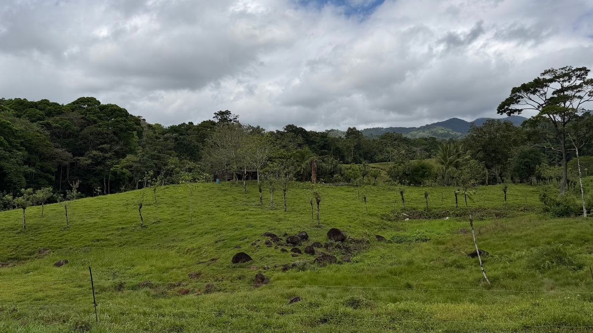 Finca Turística y Agropecuaria en San Carlos: Con Nacientes y Ríos