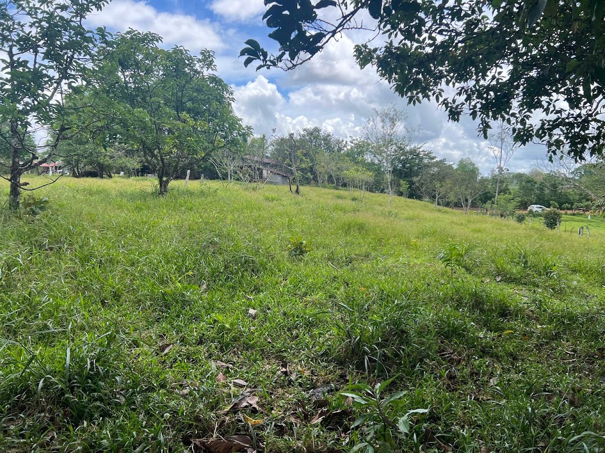 4,036 sqm Versatile Rural Lot in San Jorge de Cutris, San Carlos