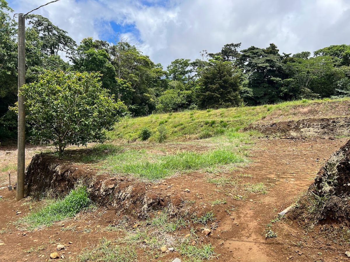 Lotes en La Isla de Ciudad Quesada: Aptos para bonocrédito