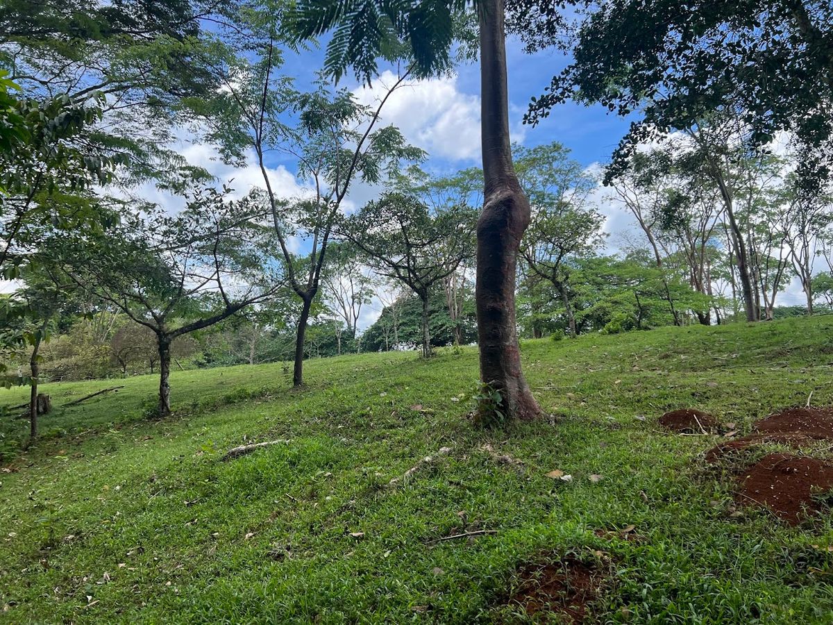 4,036 sqm Versatile Rural Lot in San Jorge de Cutris, San Carlos