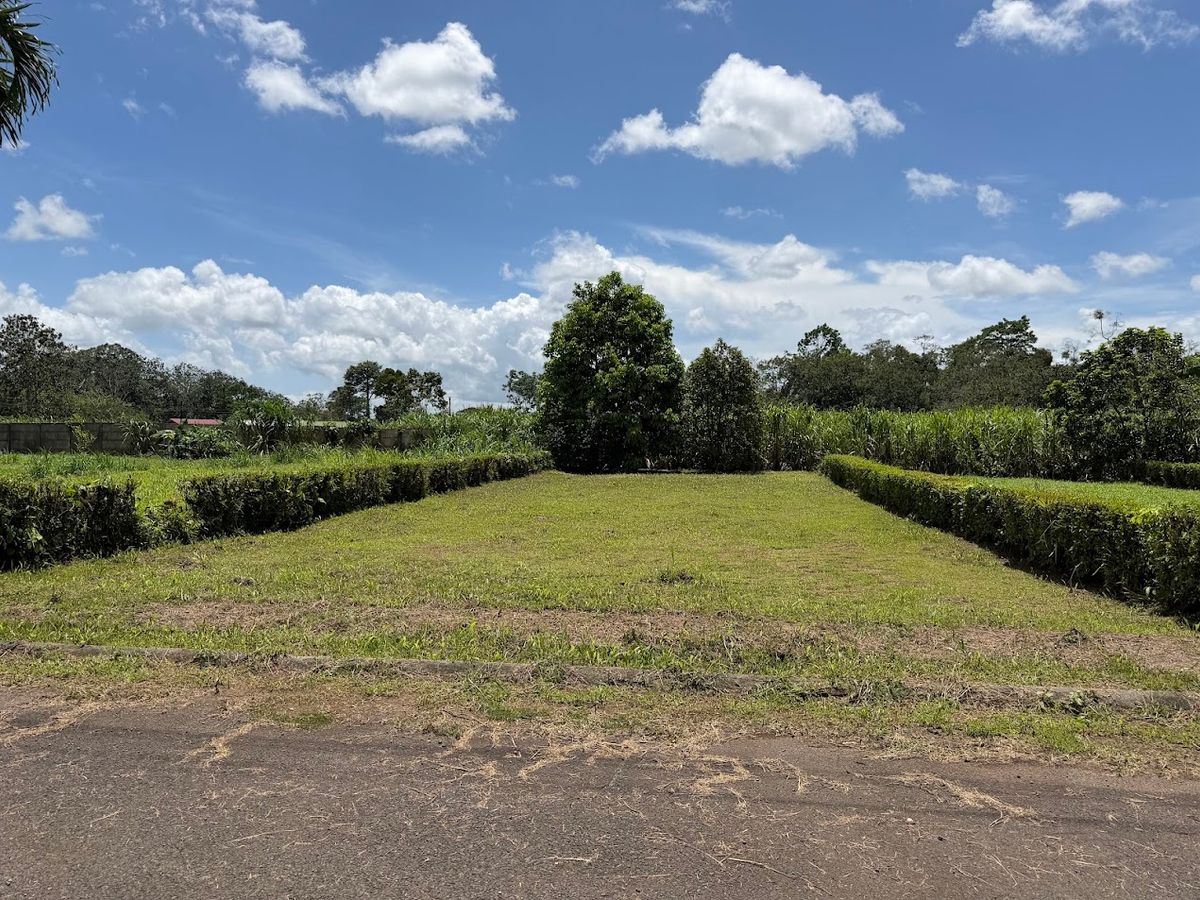 Lote Residencial de 429 m² en Florencia: Privacidad y Gran Potencial