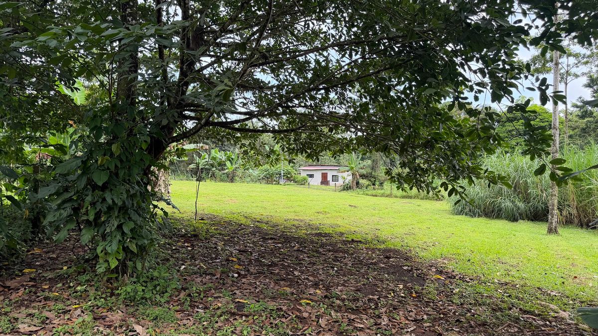 Land for Country Home in La Tigra, San Carlos: Bordering River