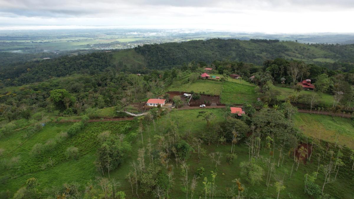 Lotes en Cedral de Ciudad Quesada: Topografía Plana y Paz