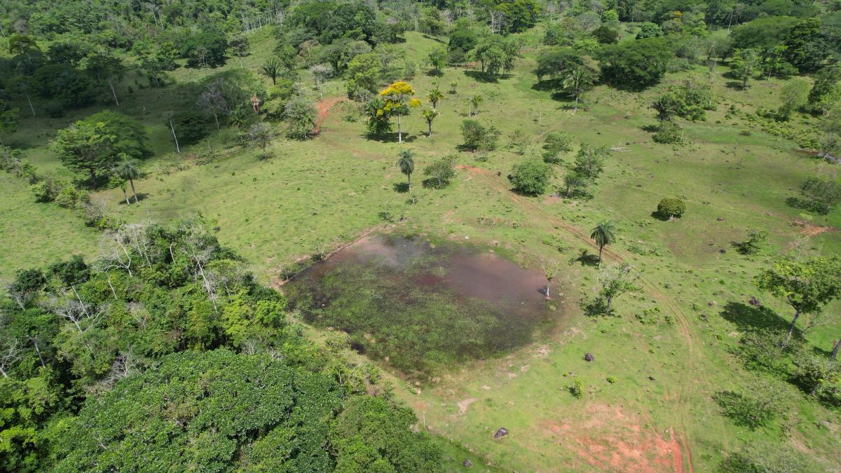 Fully Operational Livestock Development in Cuatro Esquinas