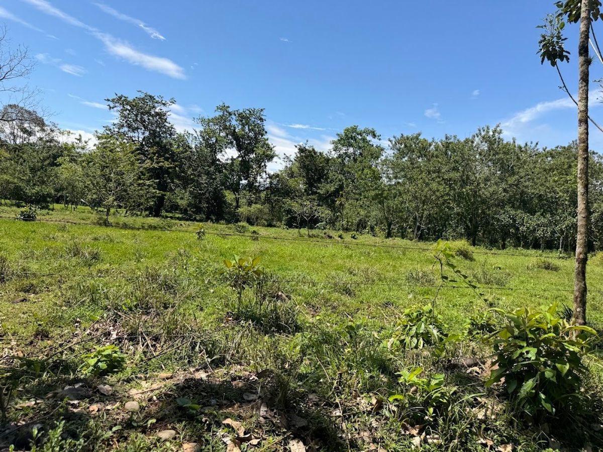 3.6-Hectare Livestock & Commercial Farm in La Vega: Main Road Frontage