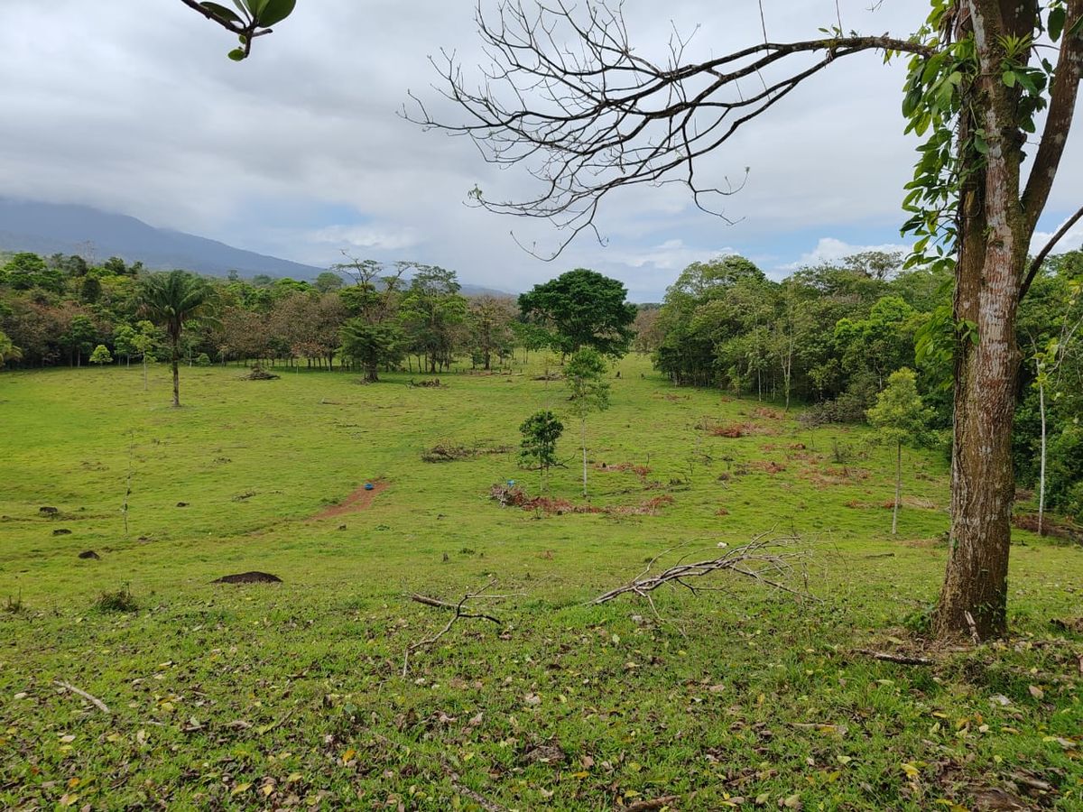 Finca Ganadera entre Upala y Bijagua: Dividida por Vía Nacional