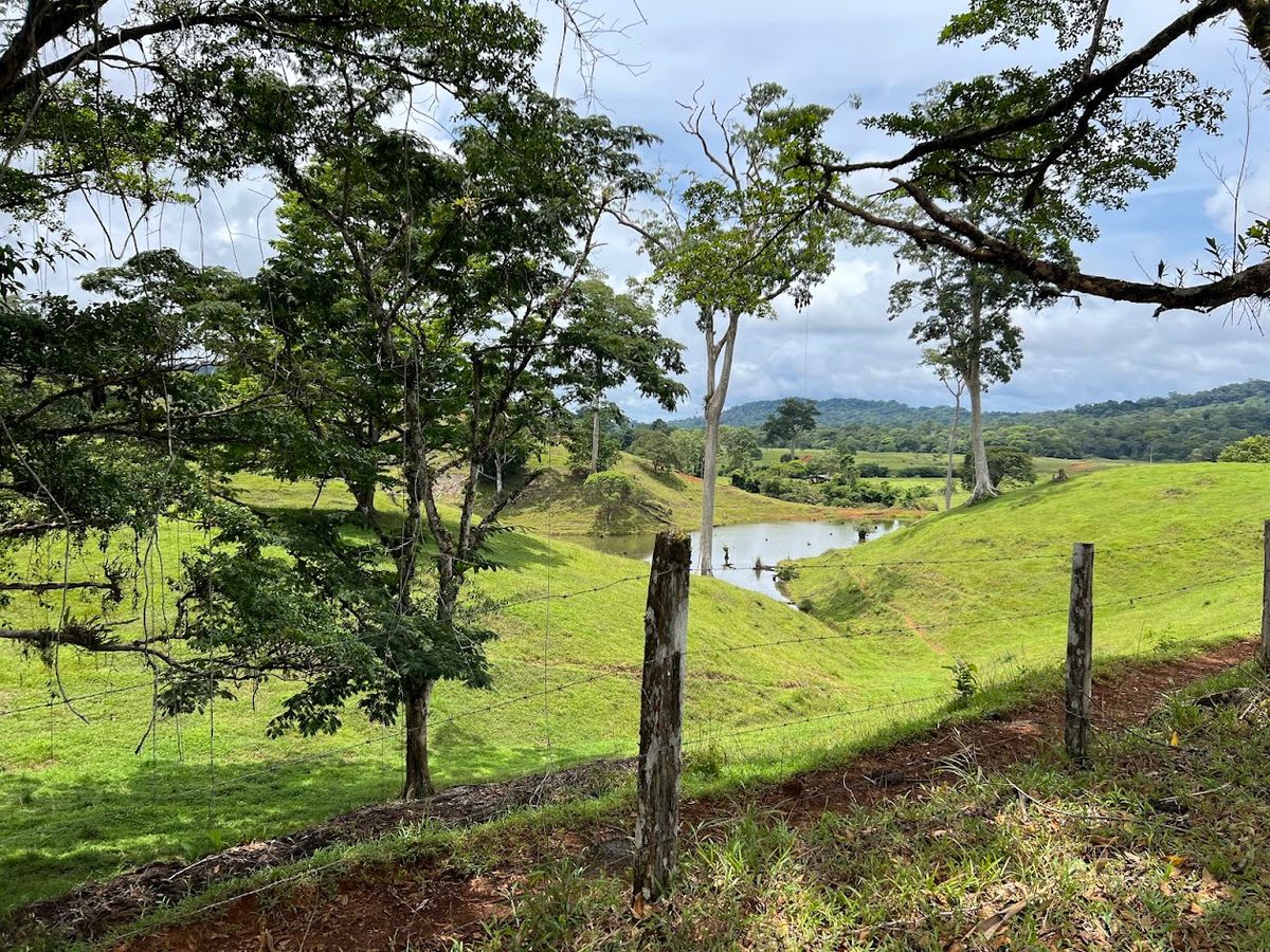 Cattle ranch in Costa Rica, San Carlos