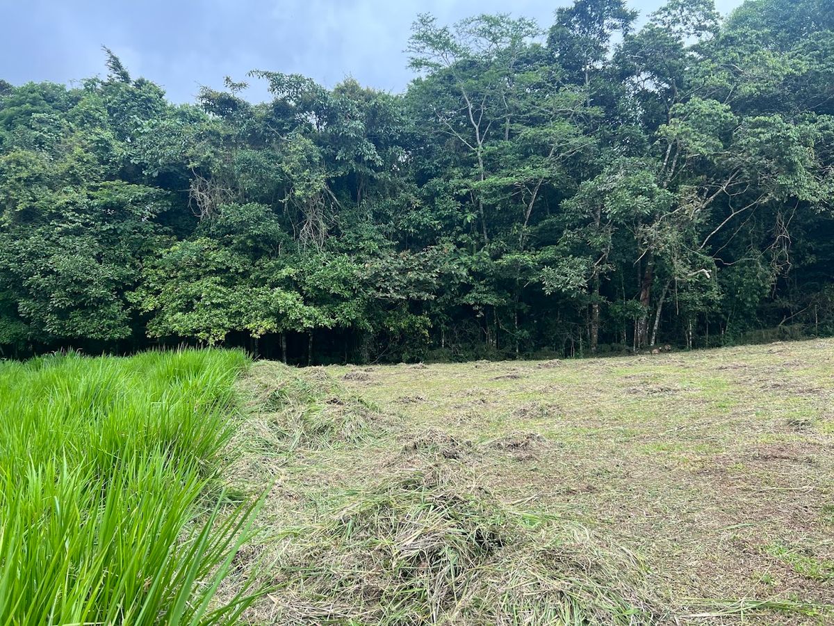3,000 sqm Flat Lot in San Gerardo: Nature & Investment Opportunity