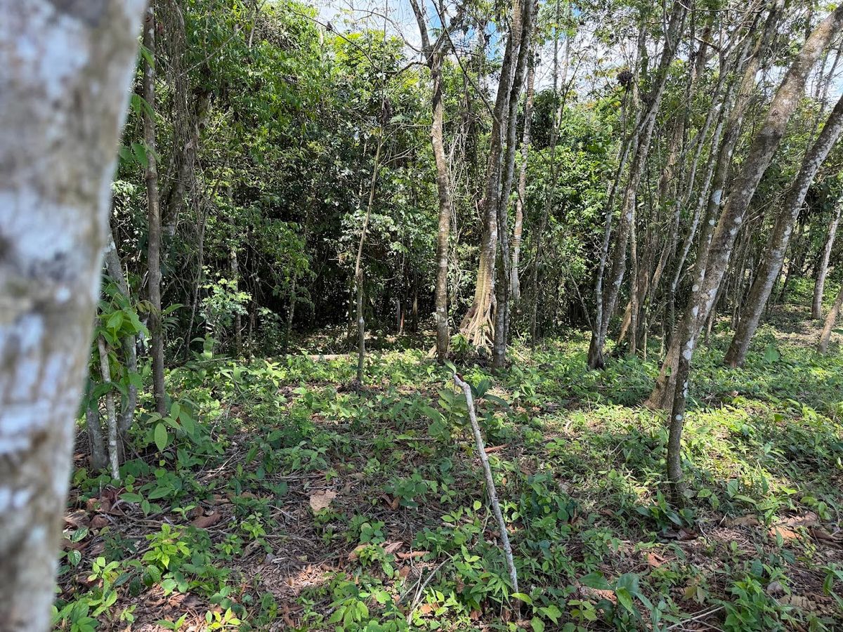 725 sqm Lot in Chachagua: Near La Fortuna & Arenal Volcano