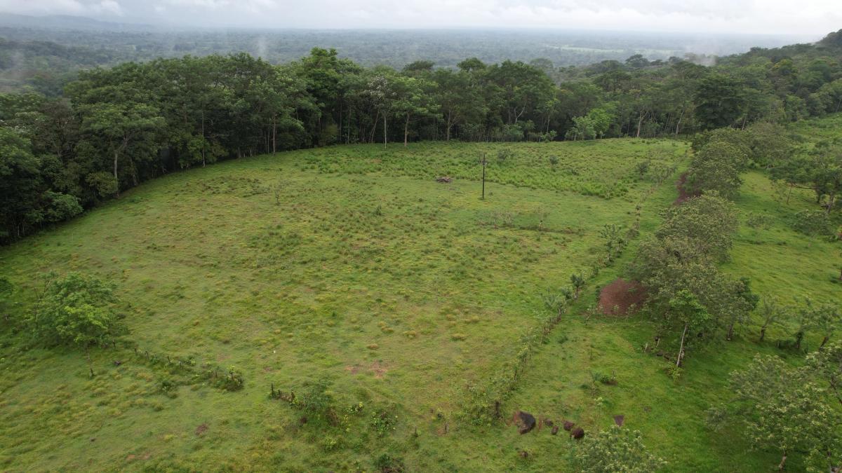 Finca Ganadera entre Upala y Bijagua: Dividida por Vía Nacional