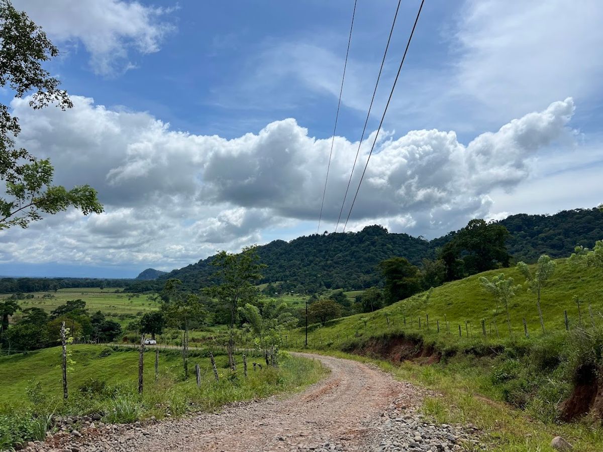 Cattle ranch in Costa Rica, San Carlos