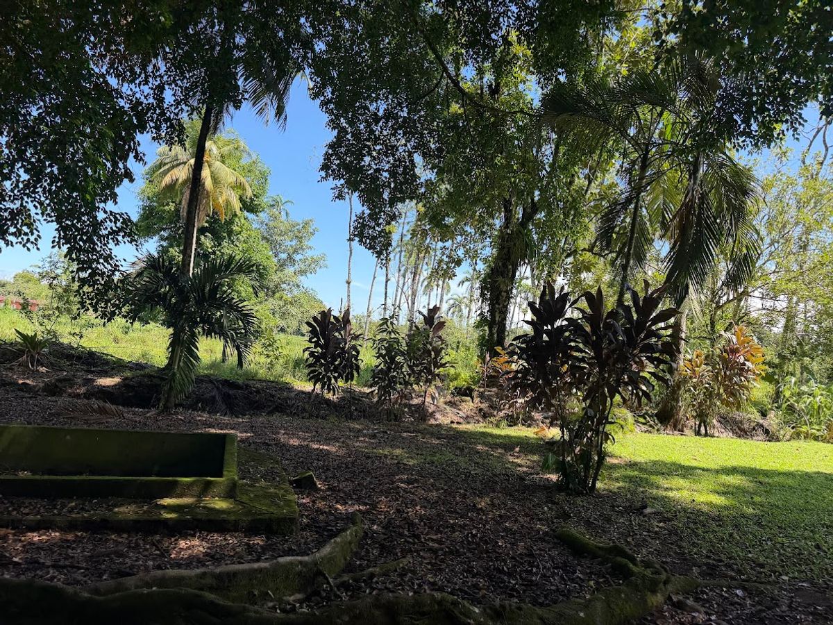 3.6-Hectare Livestock & Commercial Farm in La Vega: Main Road Frontage