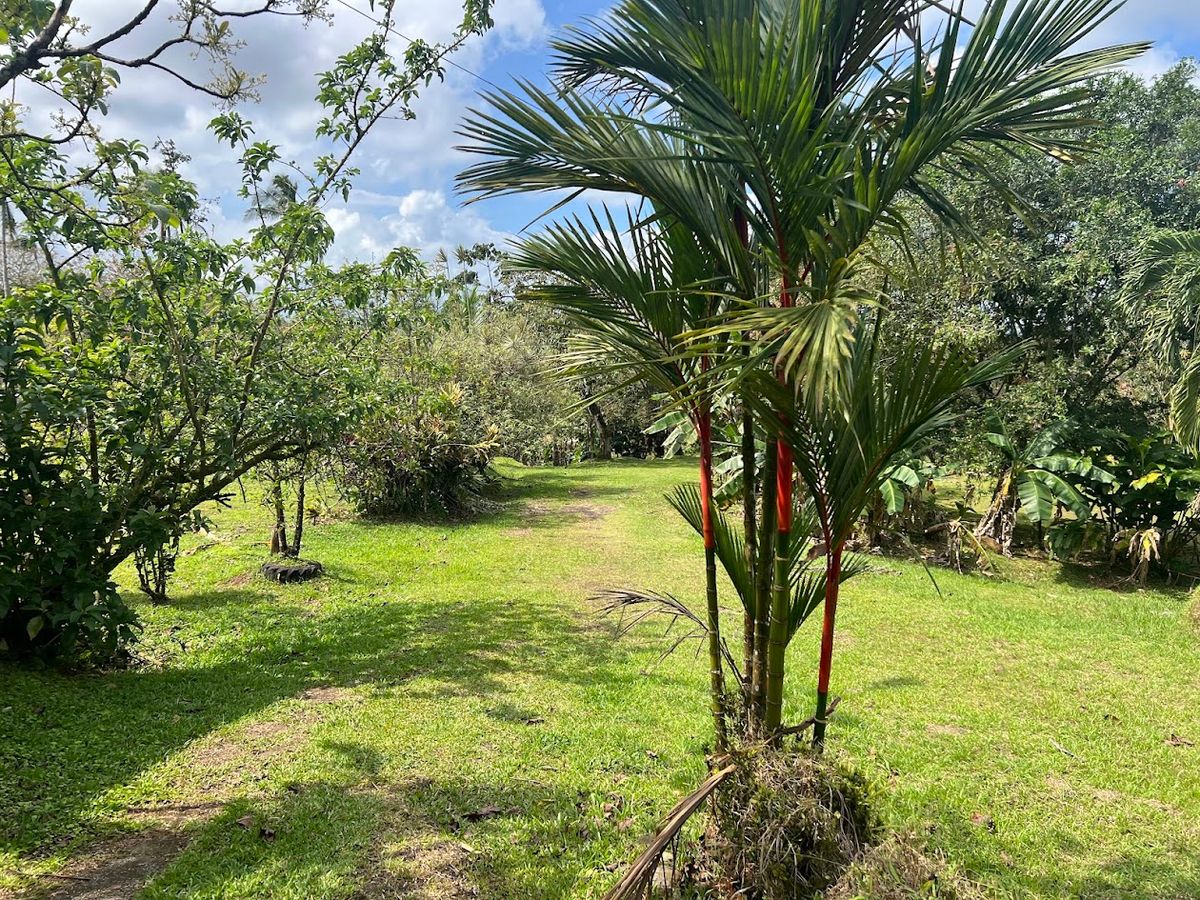 Stunning 6.4-Acre Lakefront Estate with Tourism Potential in La Palmera