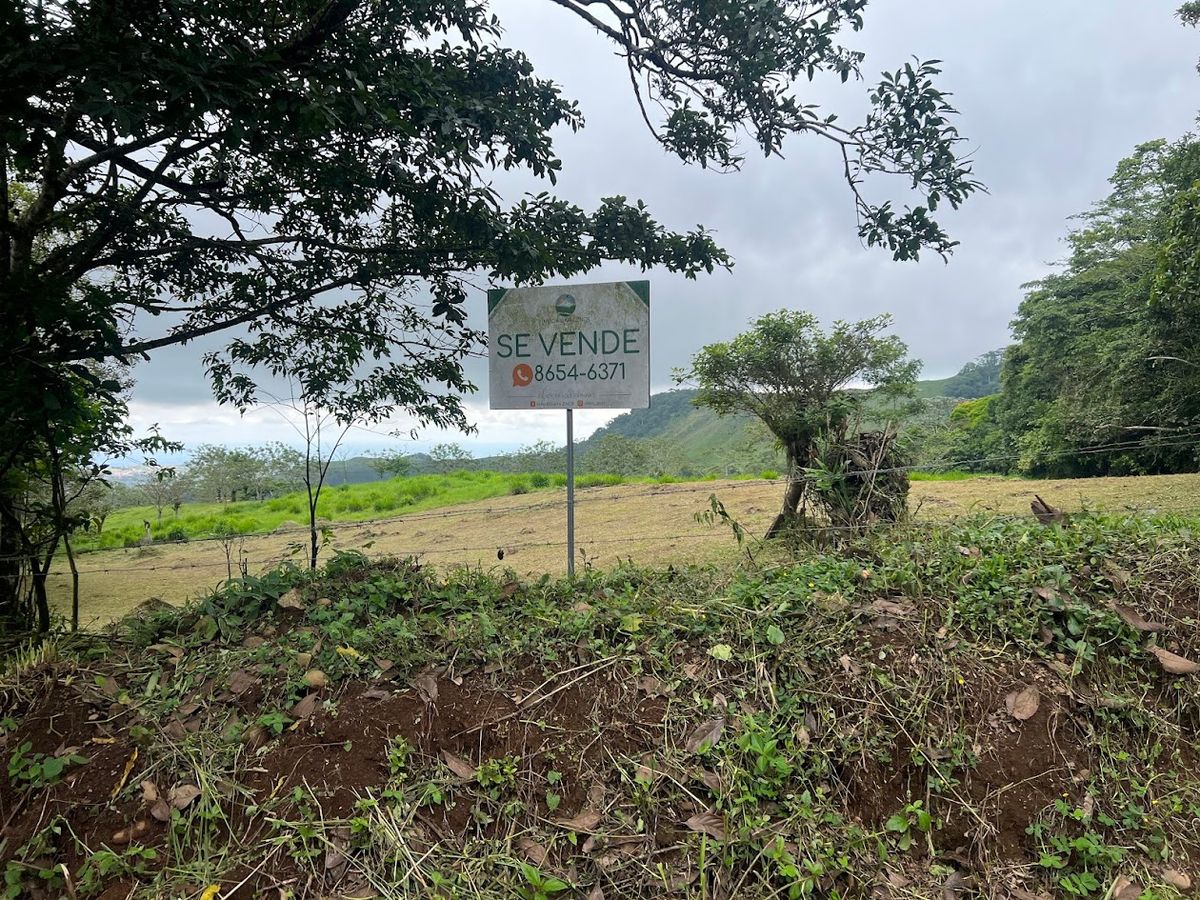 3,000 sqm Flat Lot in San Gerardo: Nature & Investment Opportunity