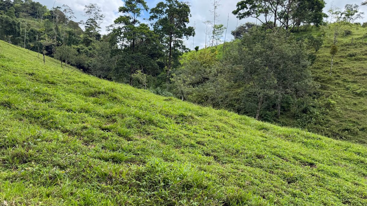 Finca Turística y Agropecuaria en San Carlos: Con Nacientes y Ríos