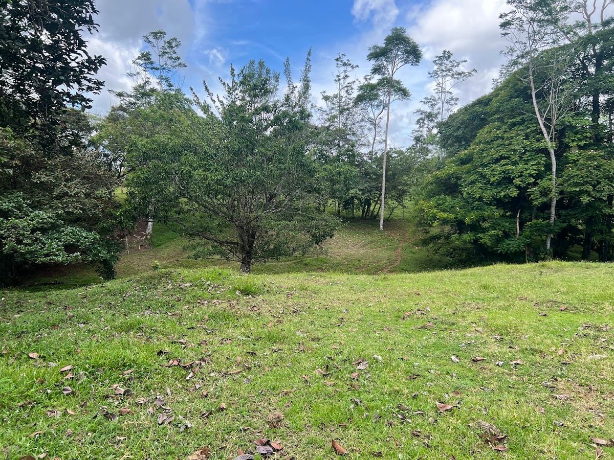4,036 sqm Versatile Rural Lot in San Jorge de Cutris, San Carlos