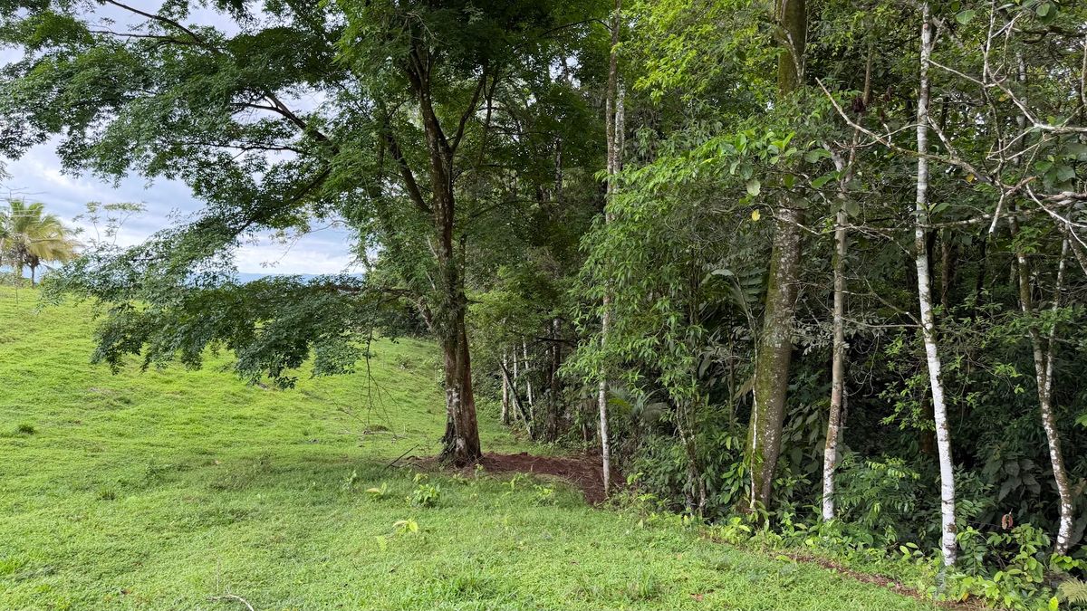 Finca Turística y Agropecuaria en San Carlos: Con Nacientes y Ríos