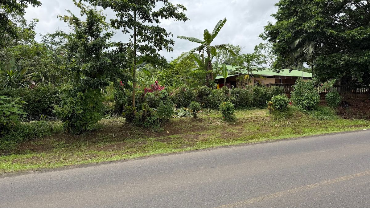 Land for Sale in Las Delicias, Aguas Zarcas: Heritage & Nature