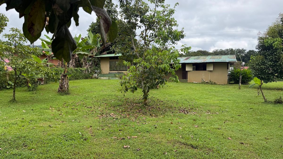 Land for Country Home in La Tigra, San Carlos: Bordering River