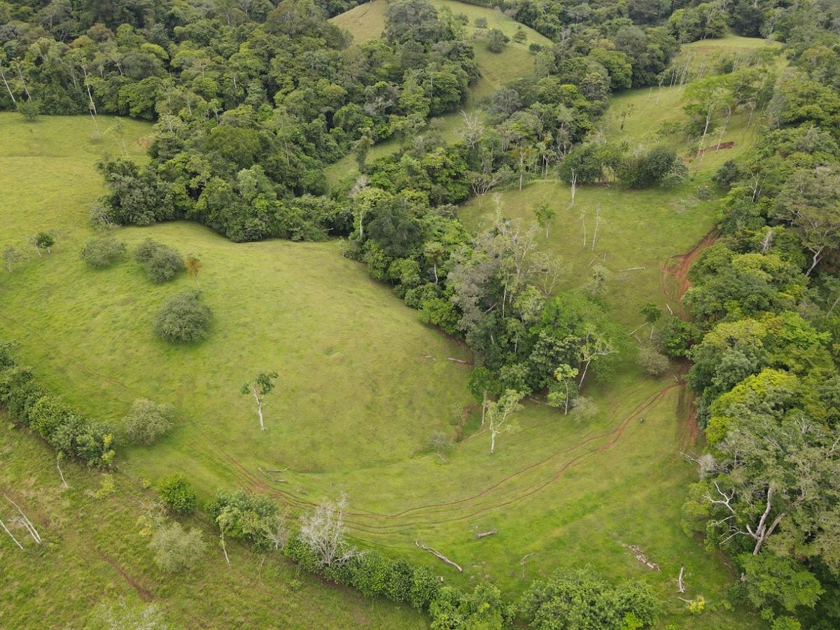 Finca ganadera en San Carlos: Topografía plana, apartos y montaña