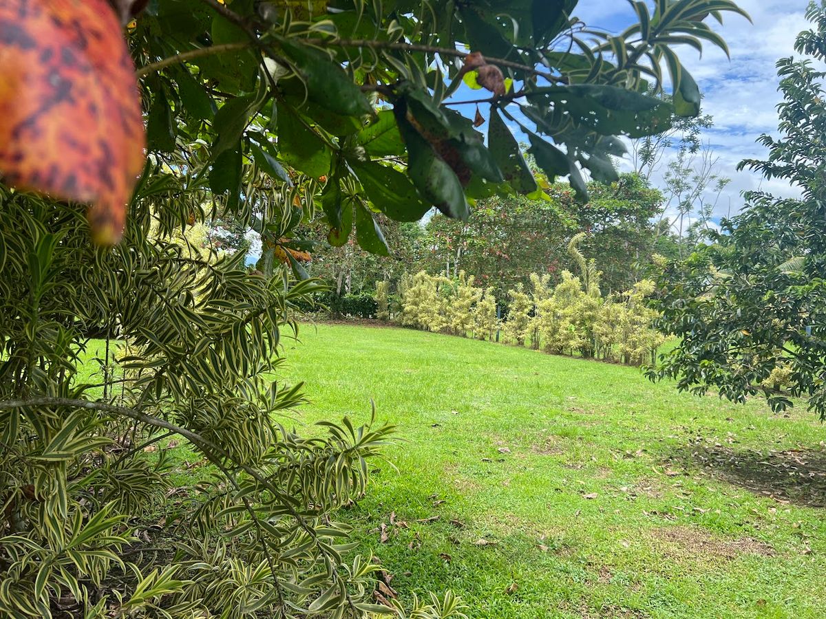 Lot in Cuestillas de Florencia: Privacy and Nature