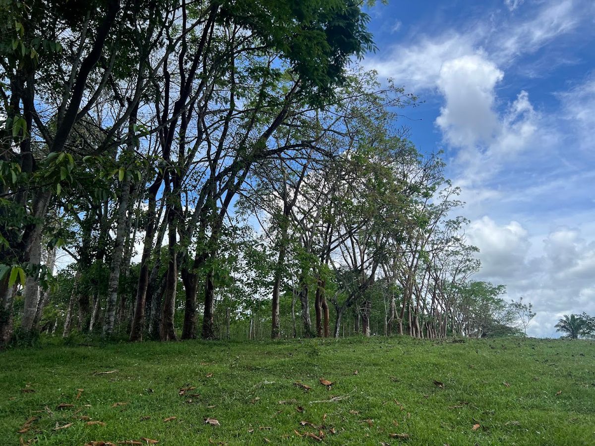 4,036 sqm Versatile Rural Lot in San Jorge de Cutris, San Carlos