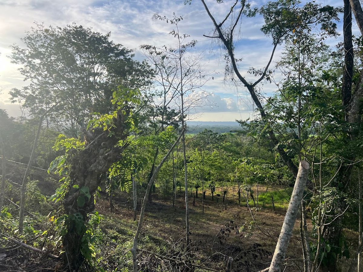 Lot in Cuestillas, Florencia with Panoramic Views