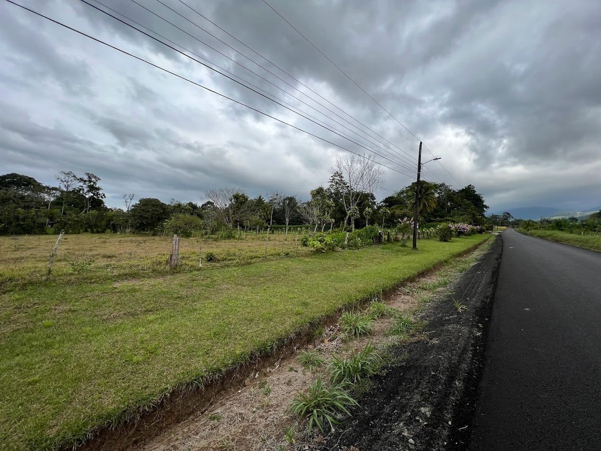 3,000 sqm Flat Lot in La Marina: Ready to Build & Prime Location