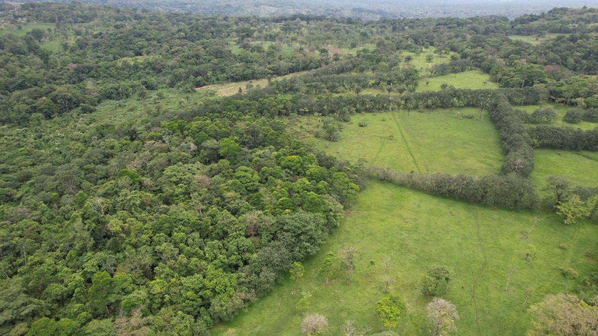 Finca Ganadera entre Upala y Bijagua: Dividida por Vía Nacional