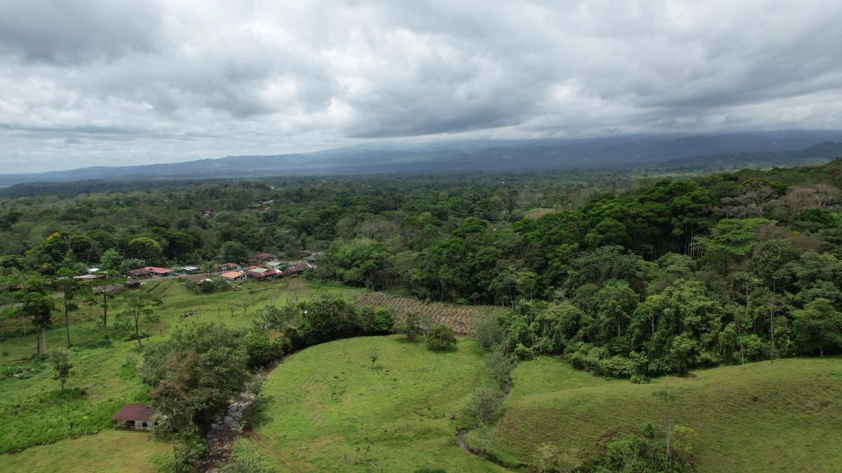 Finca Turística y Agropecuaria en San Carlos: Con Nacientes y Ríos