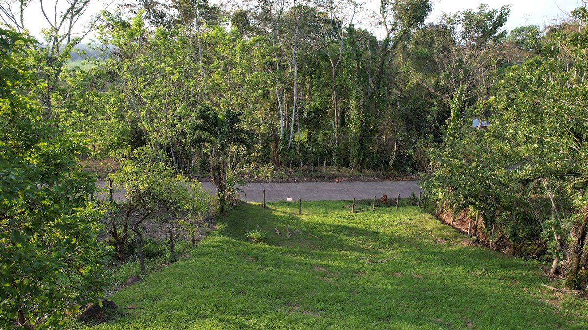Lot in Cuestillas, Florencia with Panoramic Views