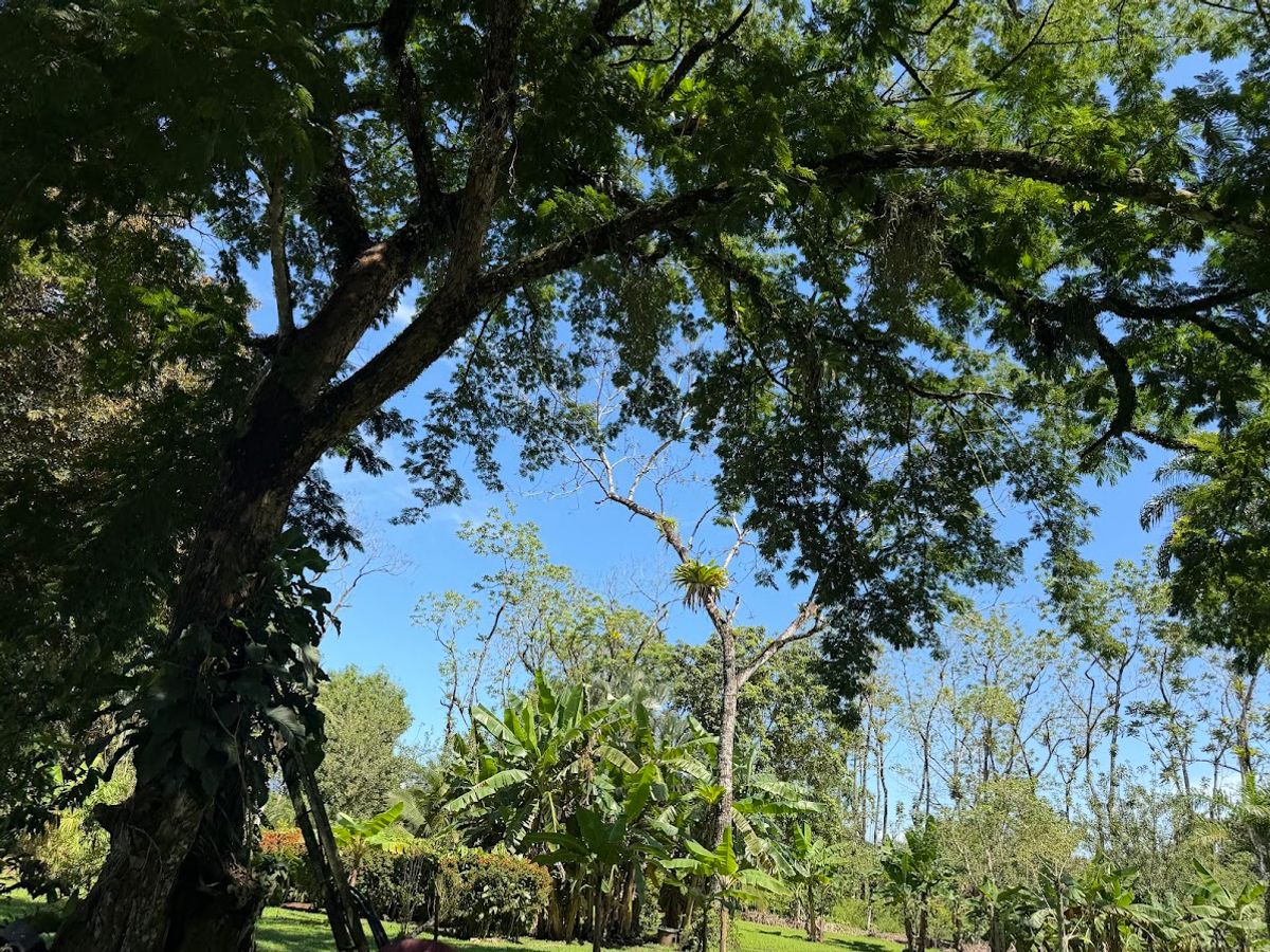 3.6-Hectare Livestock & Commercial Farm in La Vega: Main Road Frontage