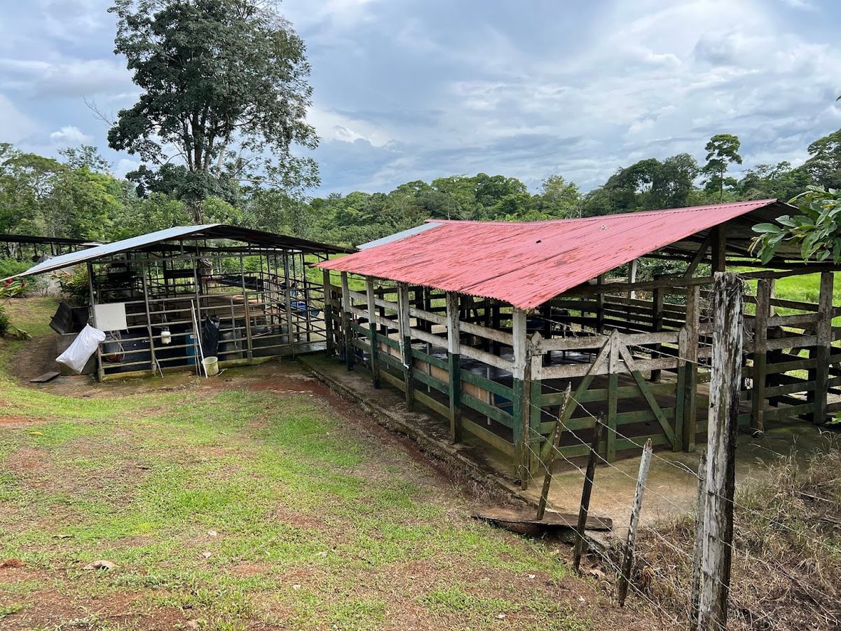 7-Hectare Self-Sufficient Dairy Farm and Cabin in Los Chiles