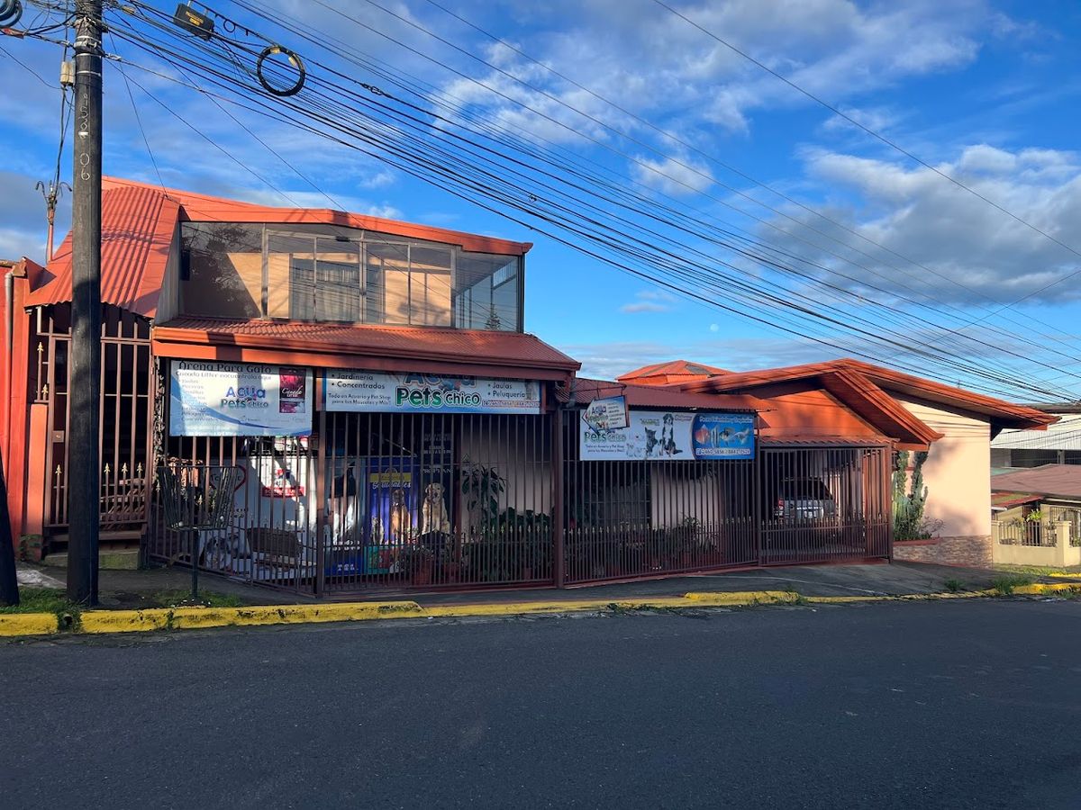 Prime Commercial Property in Downtown Ciudad Quesada: High-Yield Investment