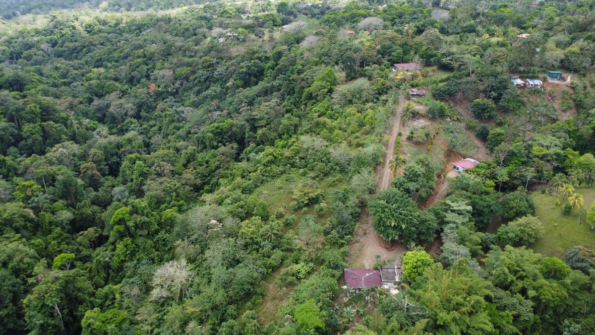 Finca de 3.2 Hectáreas en Peñas Blancas: Con Río y Potencial Turístico