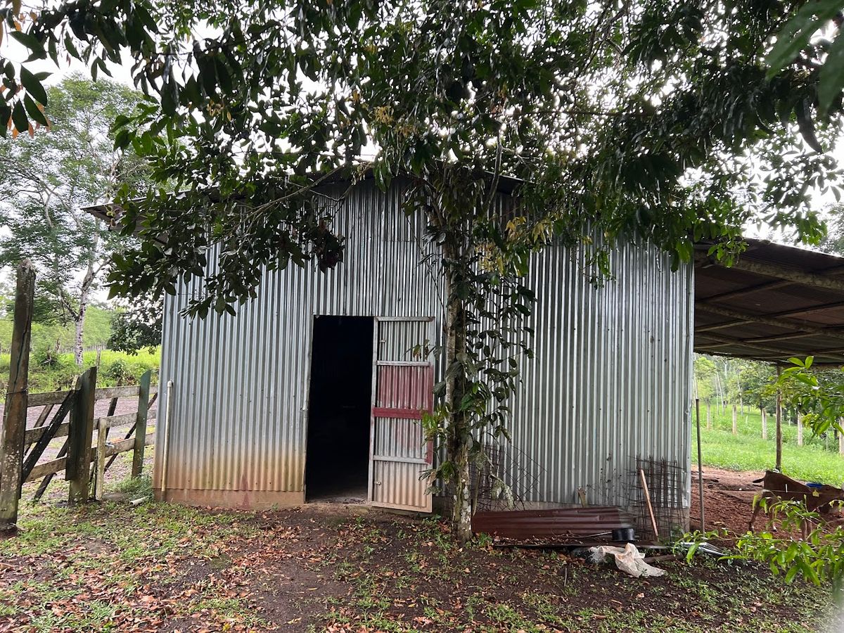 7-Hectare Self-Sufficient Dairy Farm and Cabin in Los Chiles
