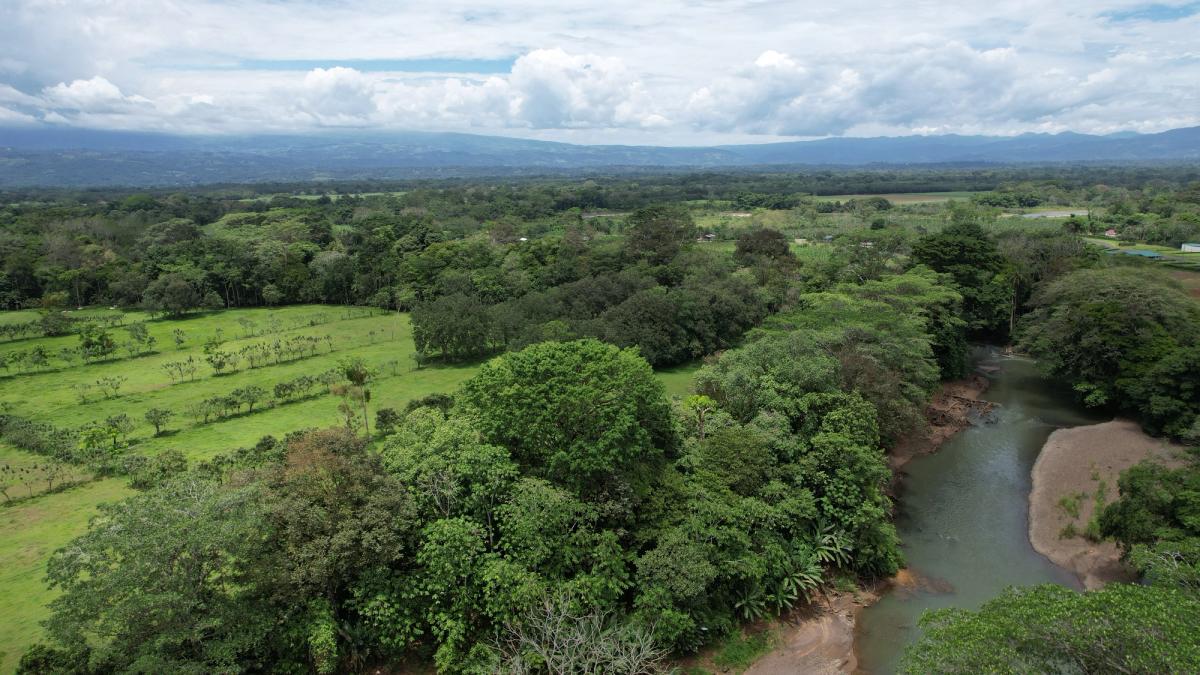 2-Hectare Farm in La Perla, La Fortuna: Commercial Frontage & Peñas Blancas River