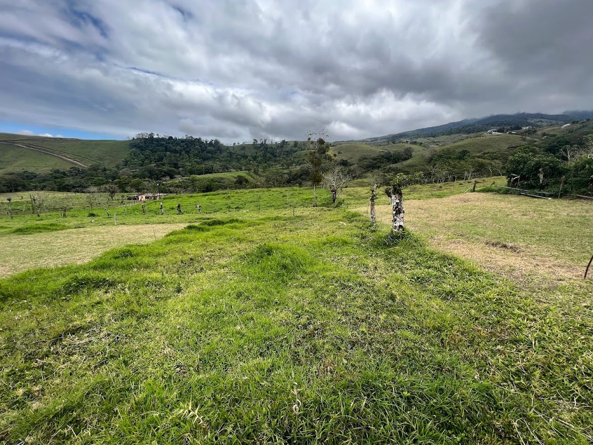 Lote con vista al Cerro Platanar en San Gerardo de Ciudad Quesada