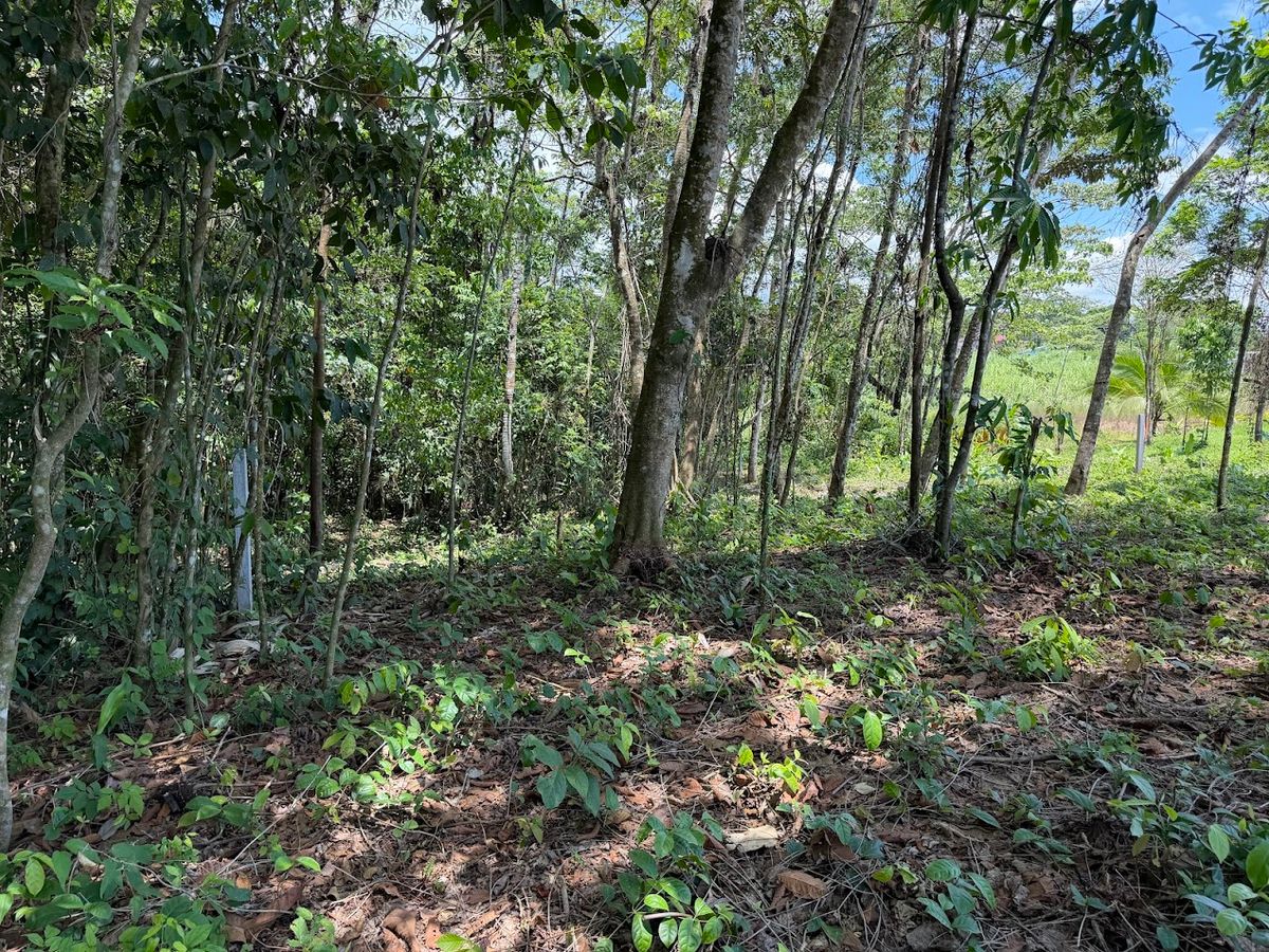 725 sqm Lot in Chachagua: Near La Fortuna & Arenal Volcano