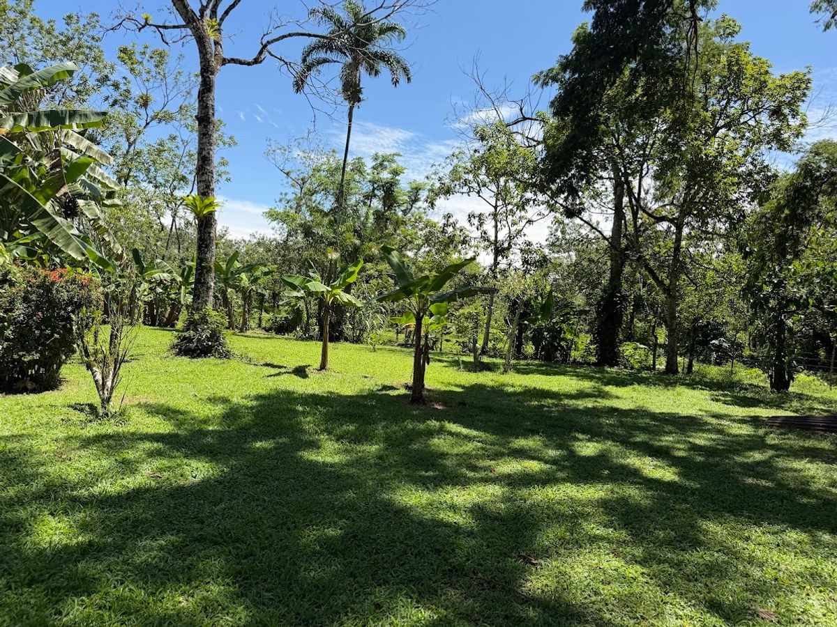3.6-Hectare Livestock & Commercial Farm in La Vega: Main Road Frontage