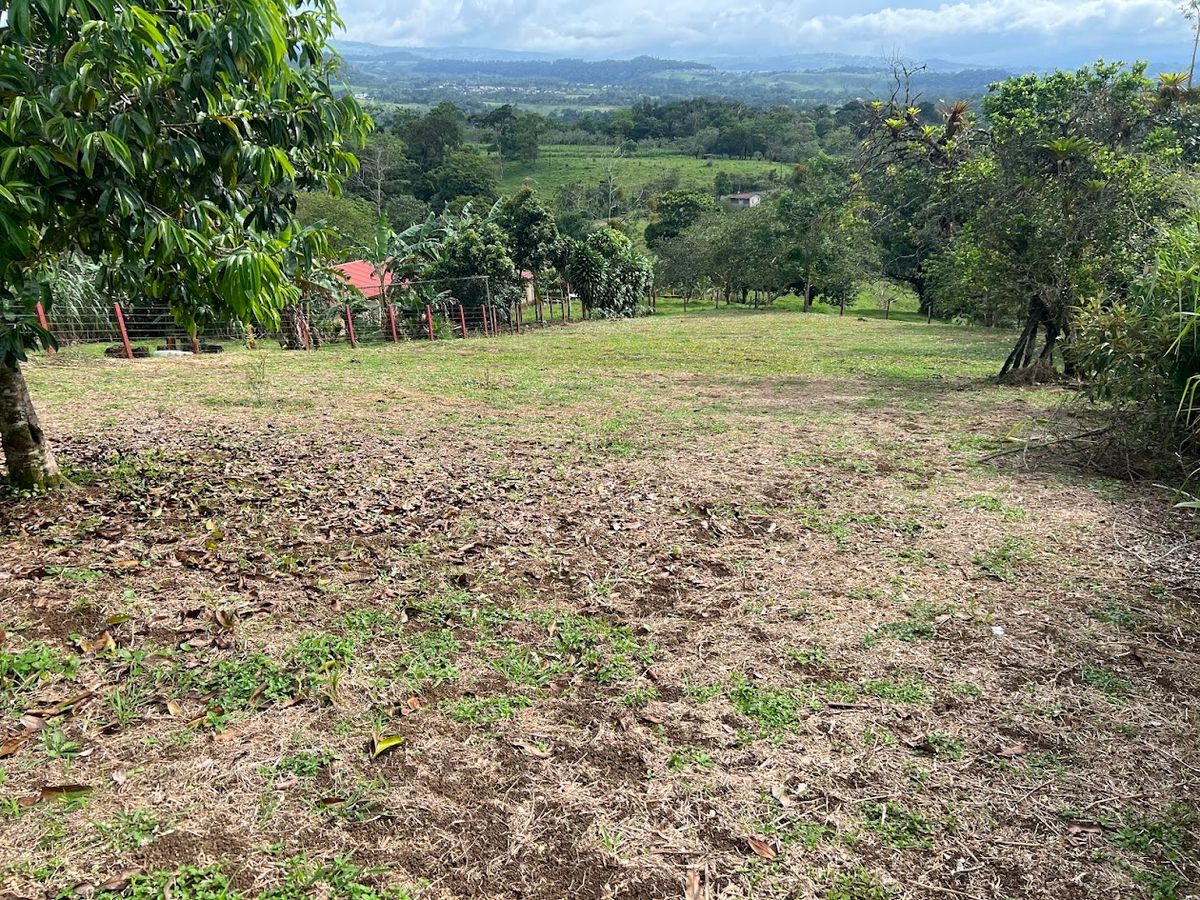 Home with Large Lot for Sale in La Tesalia | San Carlos