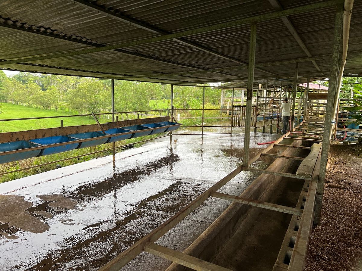 7-Hectare Self-Sufficient Dairy Farm and Cabin in Los Chiles