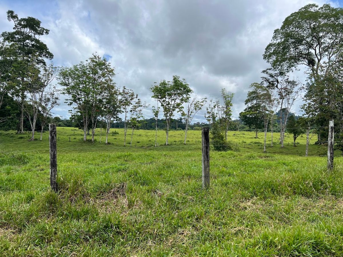 Cattle ranch in Costa Rica, San Carlos