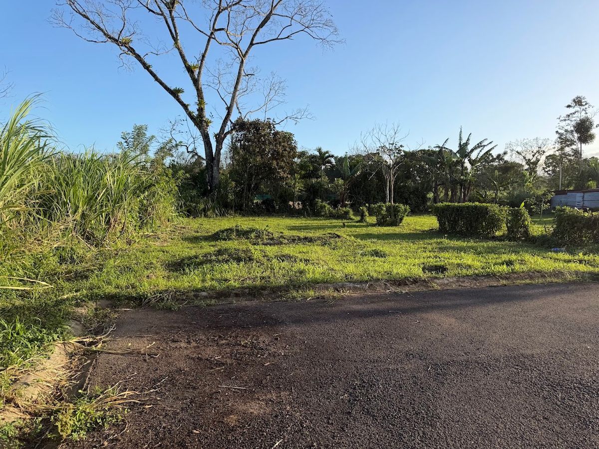 Lote de 400 metros cuadrados en Florencia de San Carlos