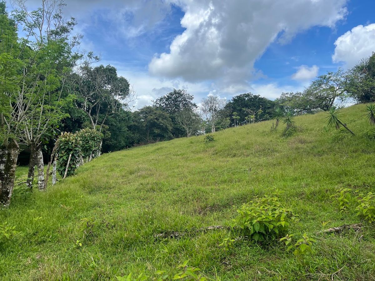 4,036 sqm Versatile Rural Lot in San Jorge de Cutris, San Carlos