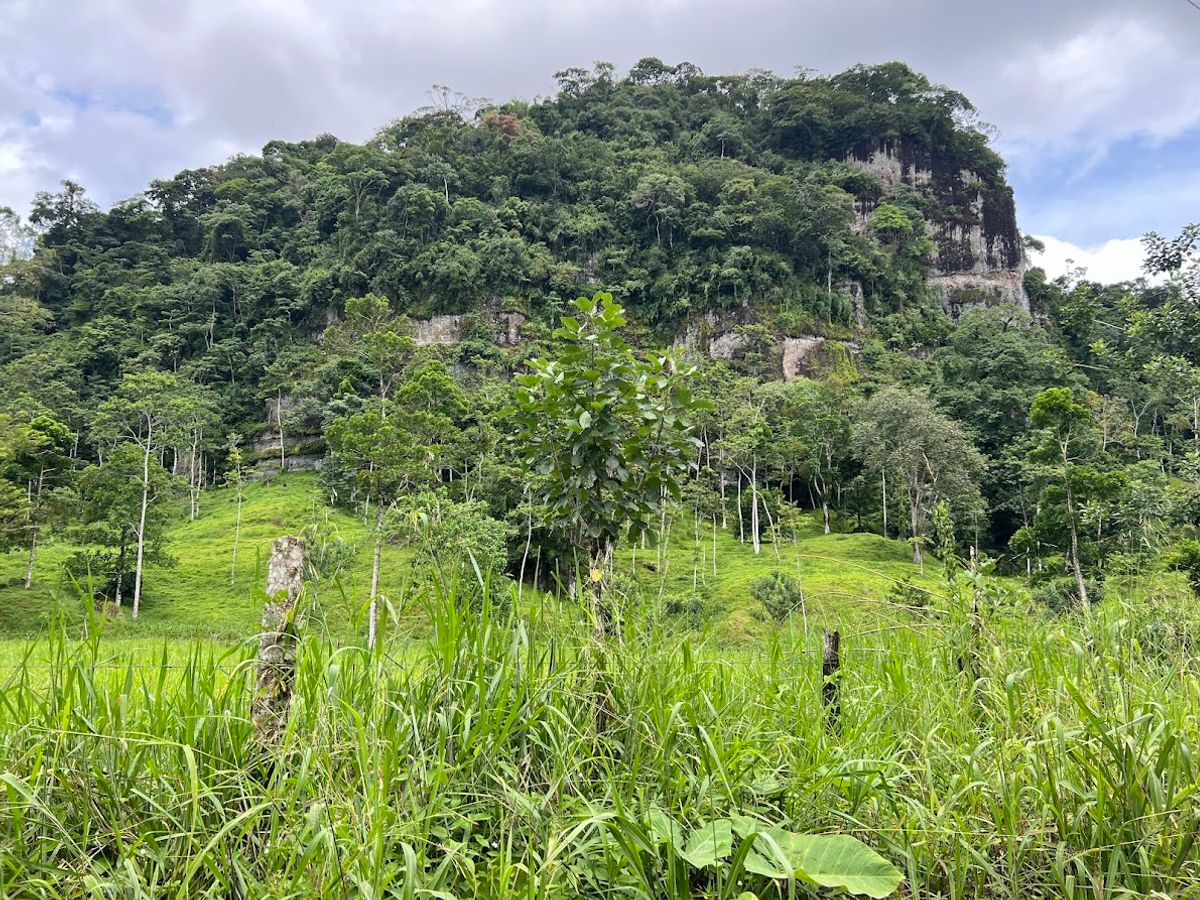 Cattle ranch in Costa Rica, San Carlos