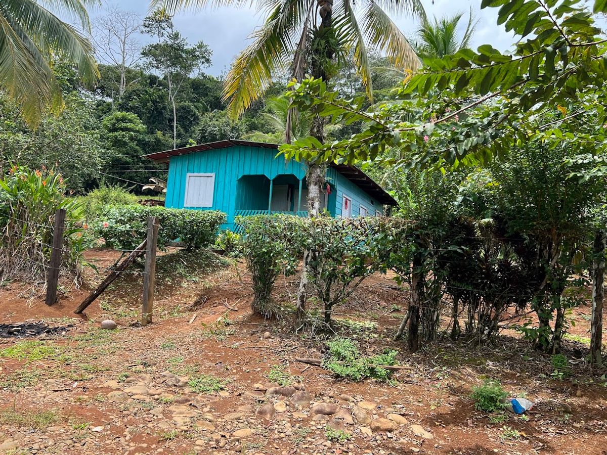 Cattle ranch in Costa Rica, San Carlos